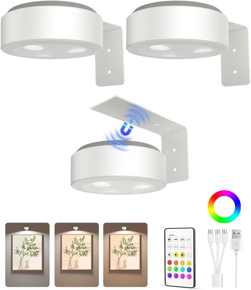 Luz de Imagen Recargable - Ilumina tu arte sin cables