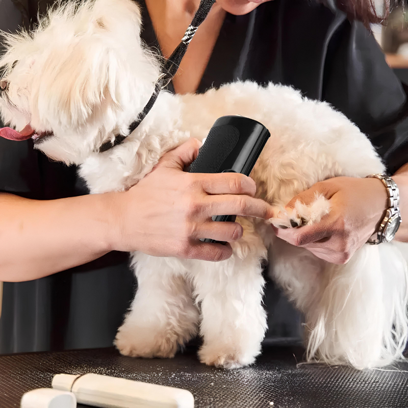 CepilloMagnet™ – La solución más efectiva para eliminar el pelo de mascotas