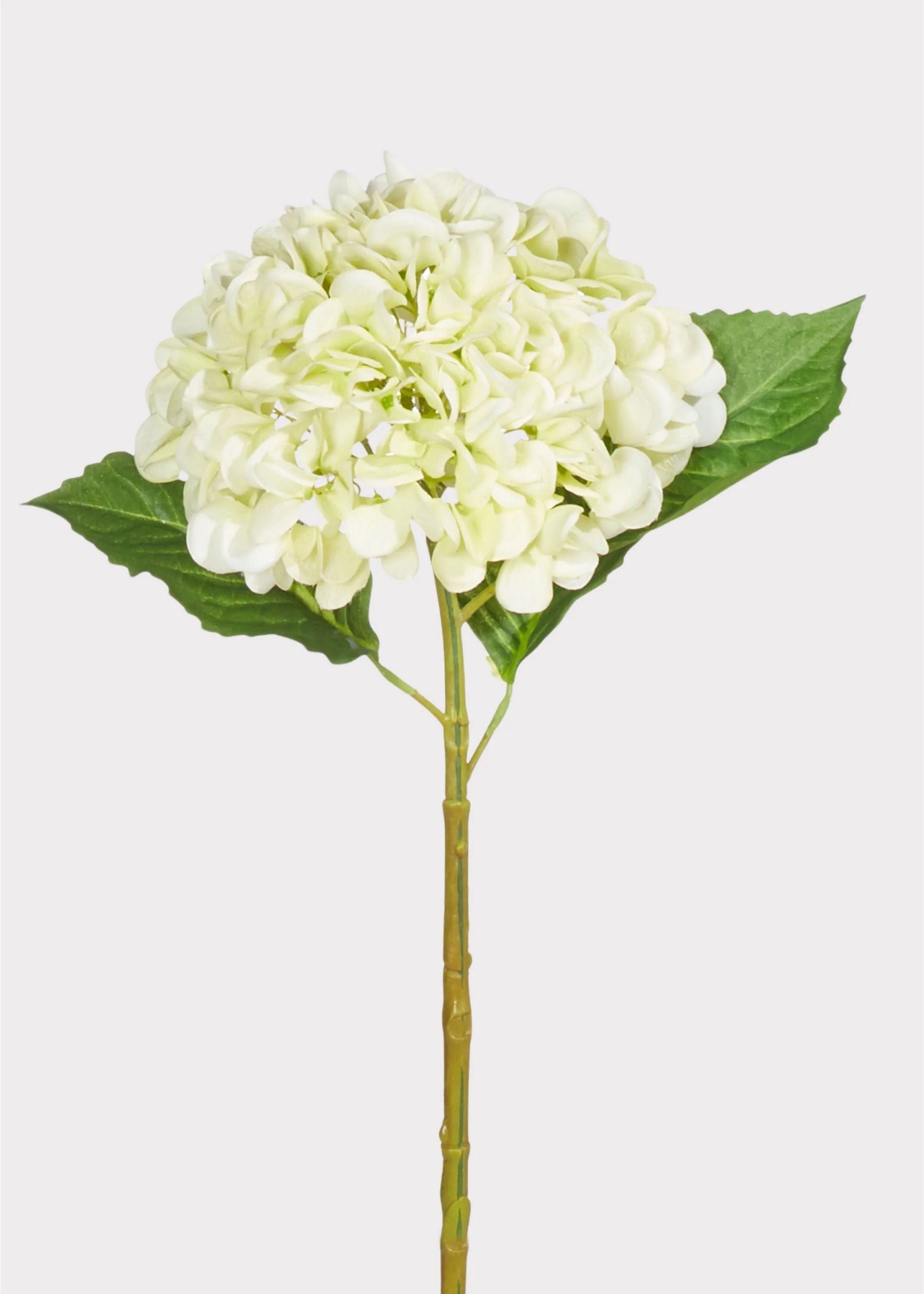 Fleurs d'anthurium artificielles | tiges décoratives longue durée