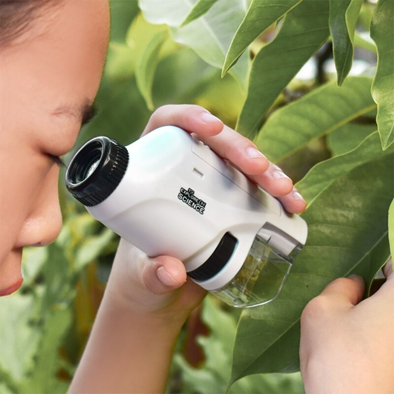 MicroExplorer – Microscopio LED de bolsillo para niños curiosos