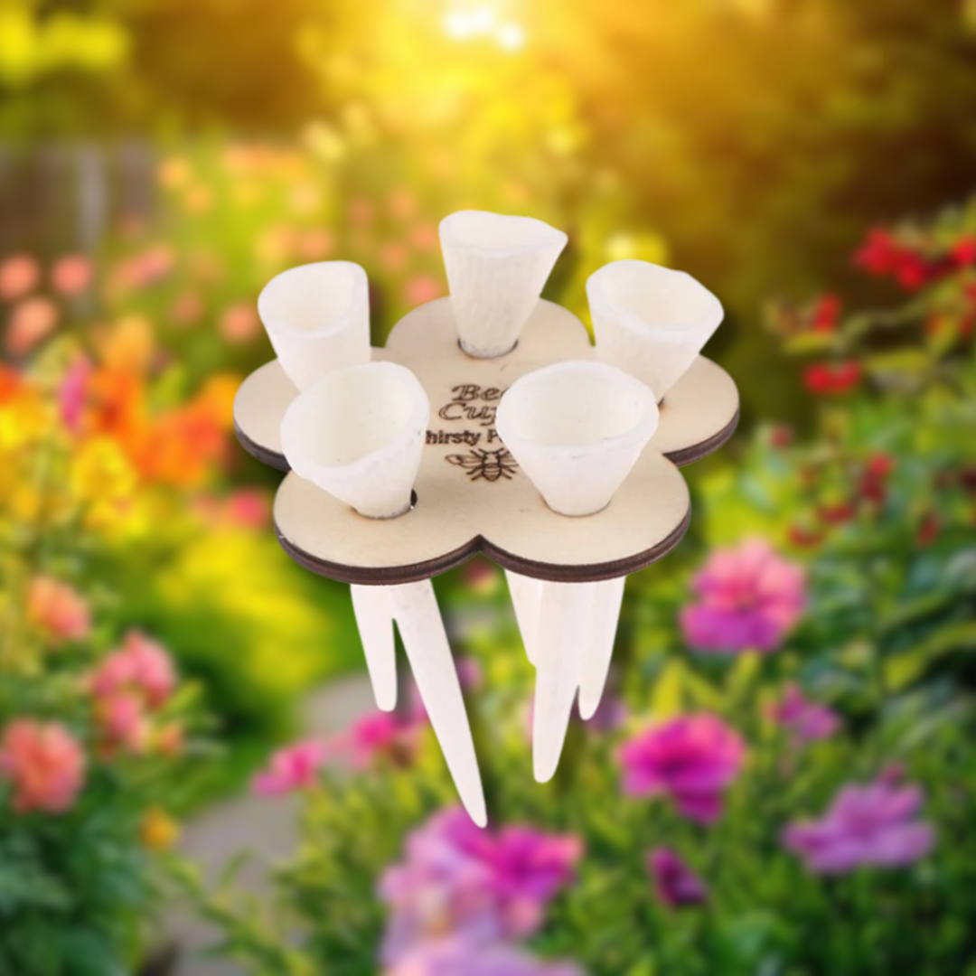 BiOas™ – Pequeño lugar de agua, gran diferencia