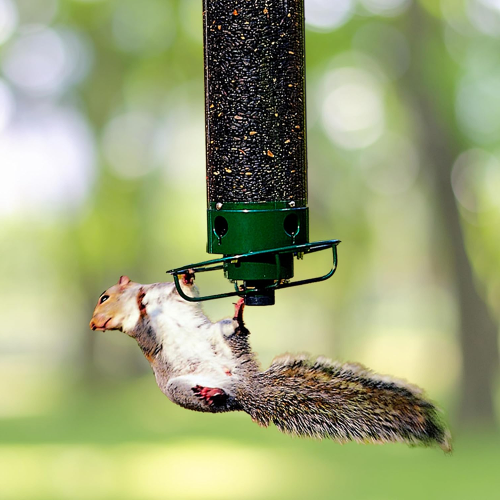 Comedero para Pájaros Antiardillas de Metal para Colgar en Jardín