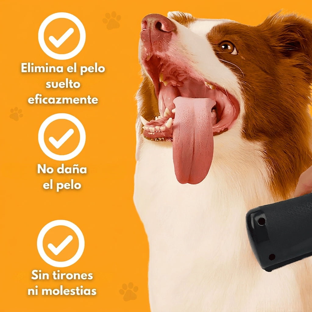 CepilloMagnet™ – La solución más efectiva para eliminar el pelo de mascotas