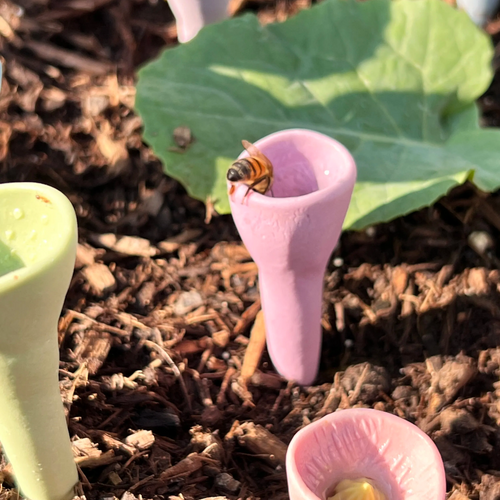 BiOas – Pequeño lugar de agua, gran diferencia