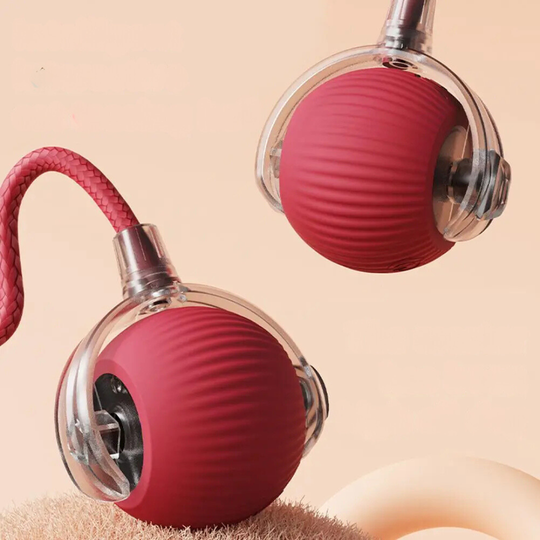 ChaseBall™ - La pelota interactiva que rompe la monotonía