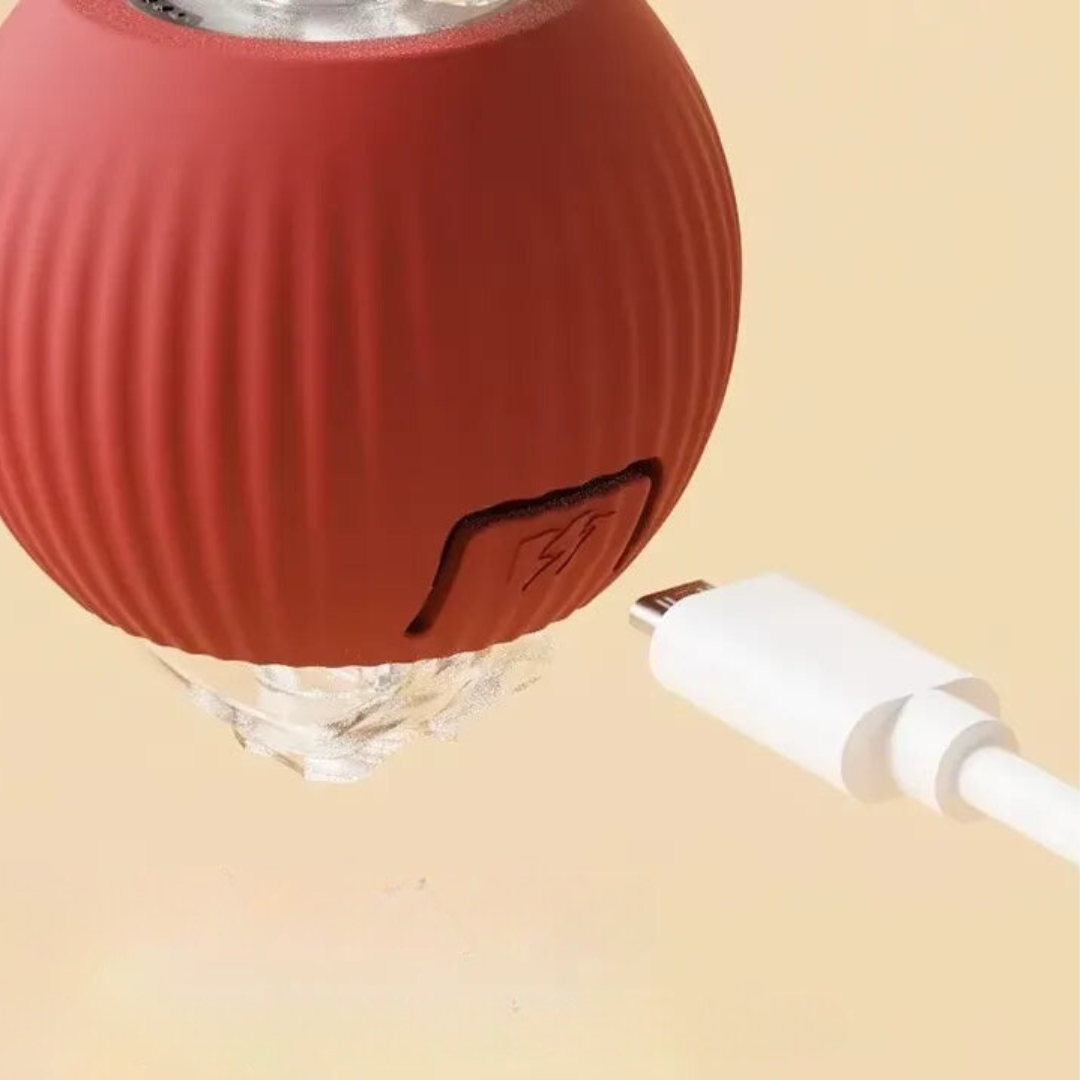 ChaseBall™ - La pelota interactiva que rompe la monotonía