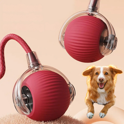 ChaseBall™ - La pelota interactiva que rompe la monotonía