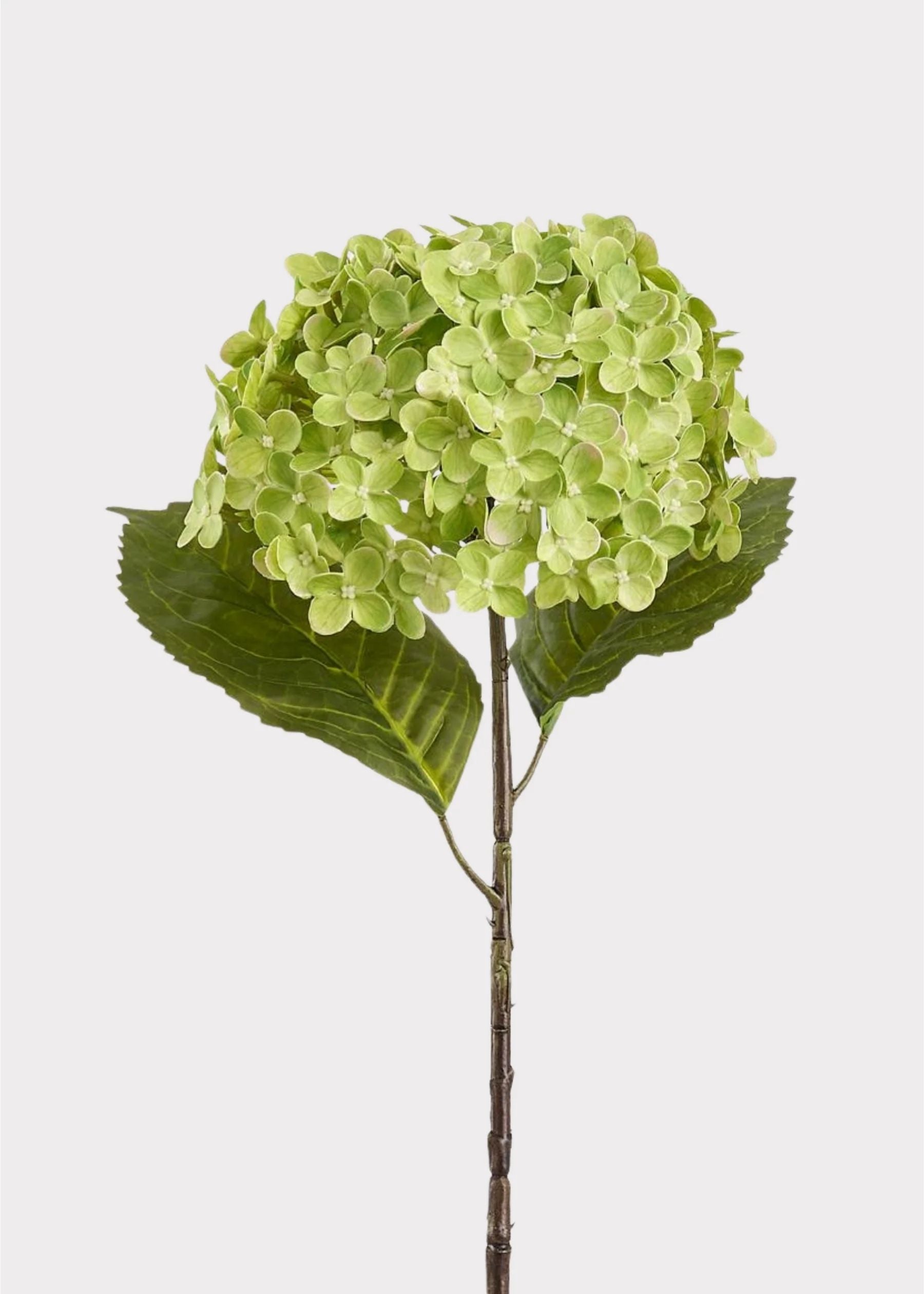 Fleurs d'anthurium artificielles | tiges décoratives longue durée