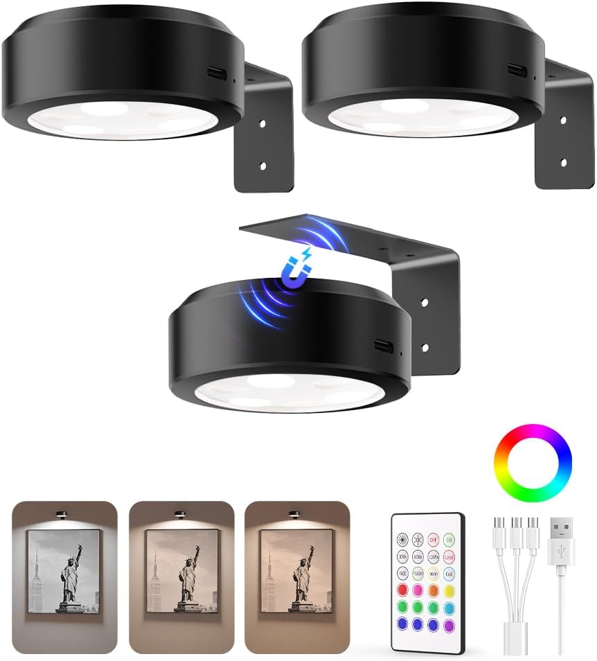 Luz de Imagen Recargable - Ilumina tu arte sin cables