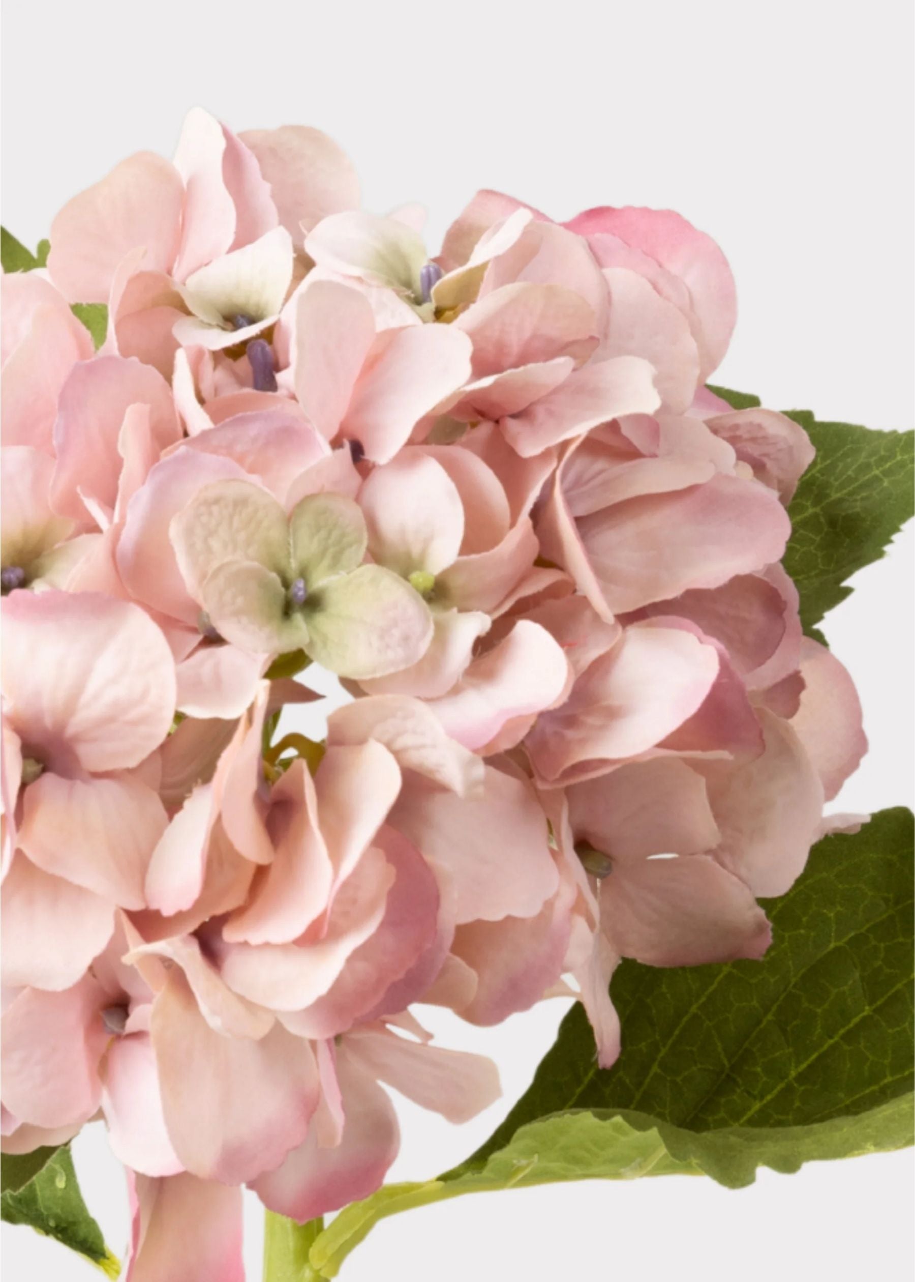 Fleurs d'anthurium artificielles | tiges décoratives longue durée