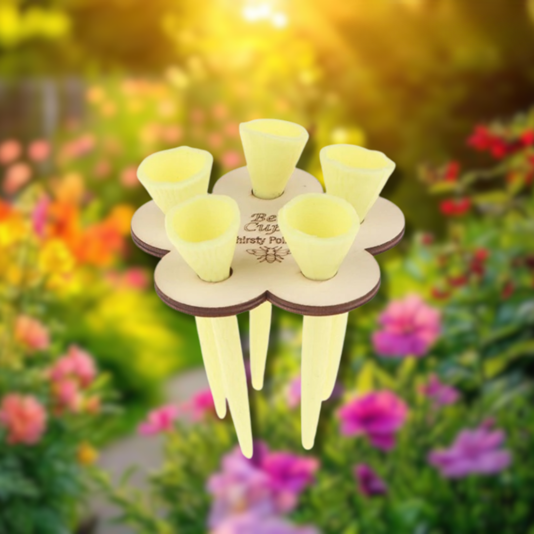 BiOas™ – Pequeño lugar de agua, gran diferencia