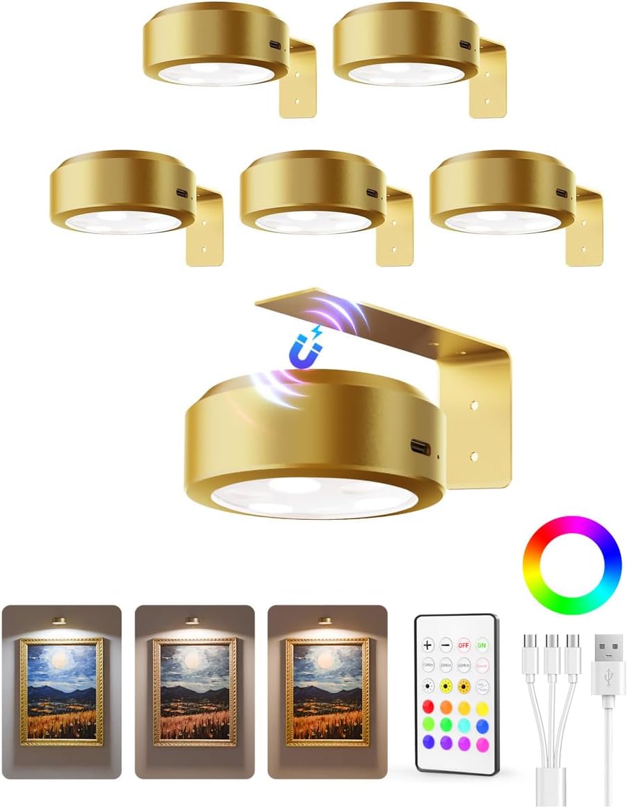 Luz de Imagen Recargable - Ilumina tu arte sin cables