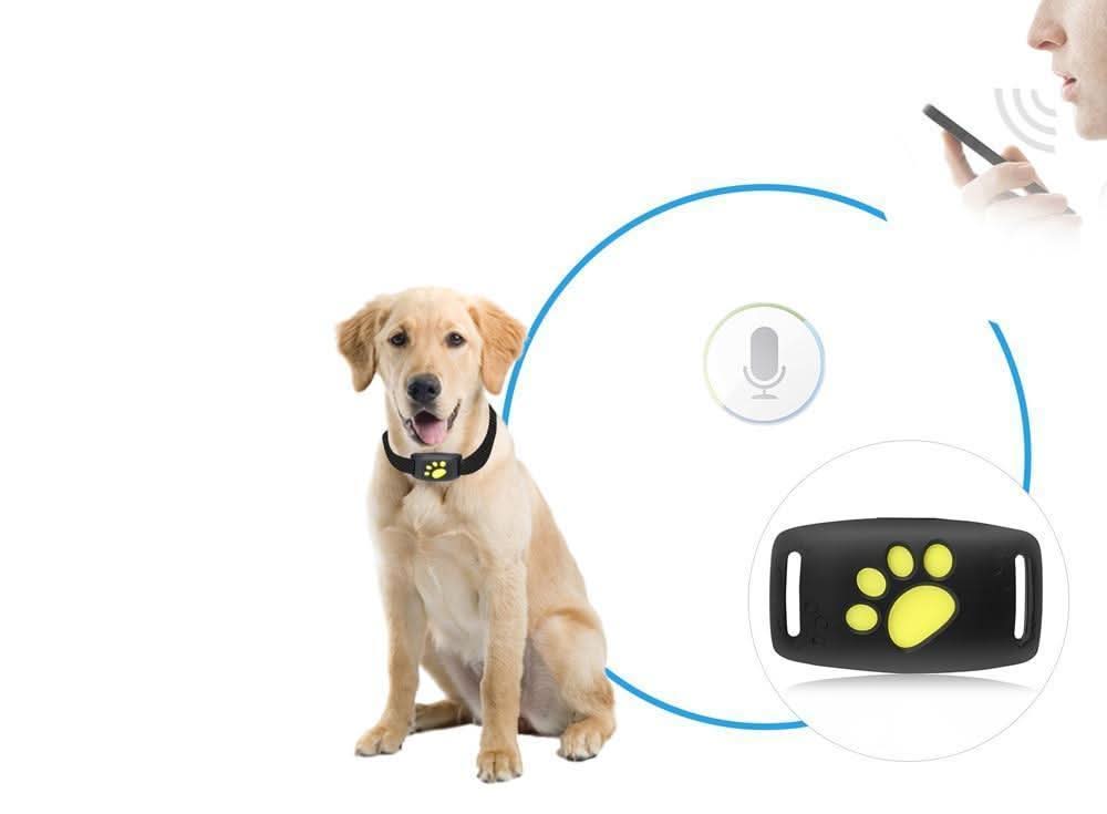 Rastreador GPS para Gatos – Localización en Tiempo Real sin Suscripción