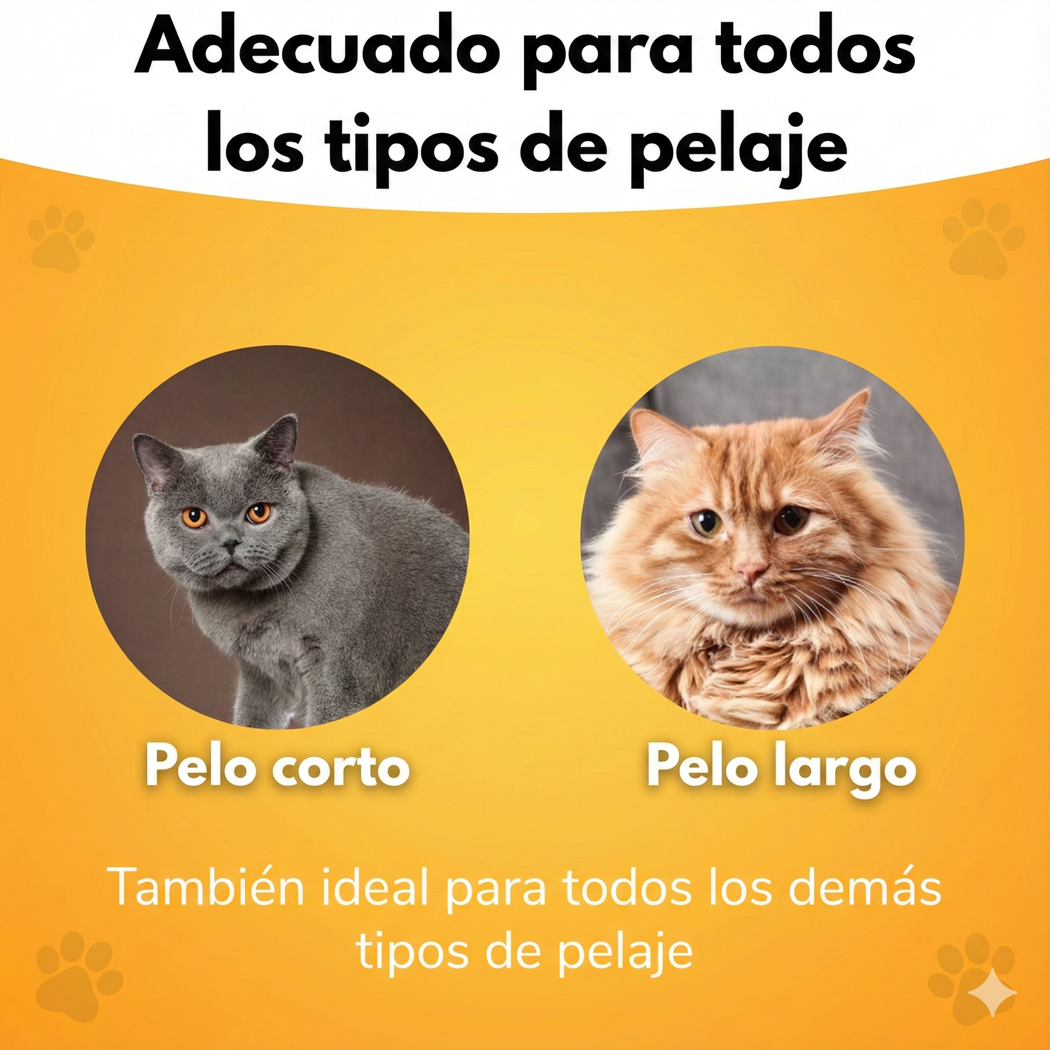 PeloFlash - La Solución Definitiva para el Cuidado del Pelaje