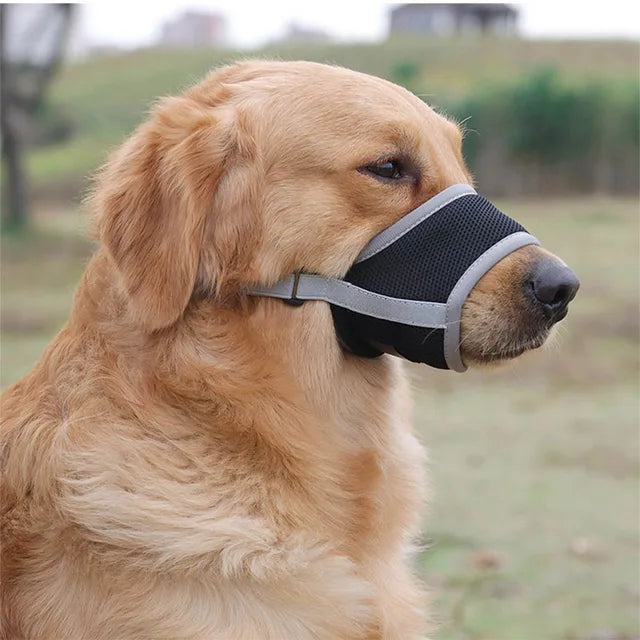 SoftSnout | Previene Ladridos y Mordidas