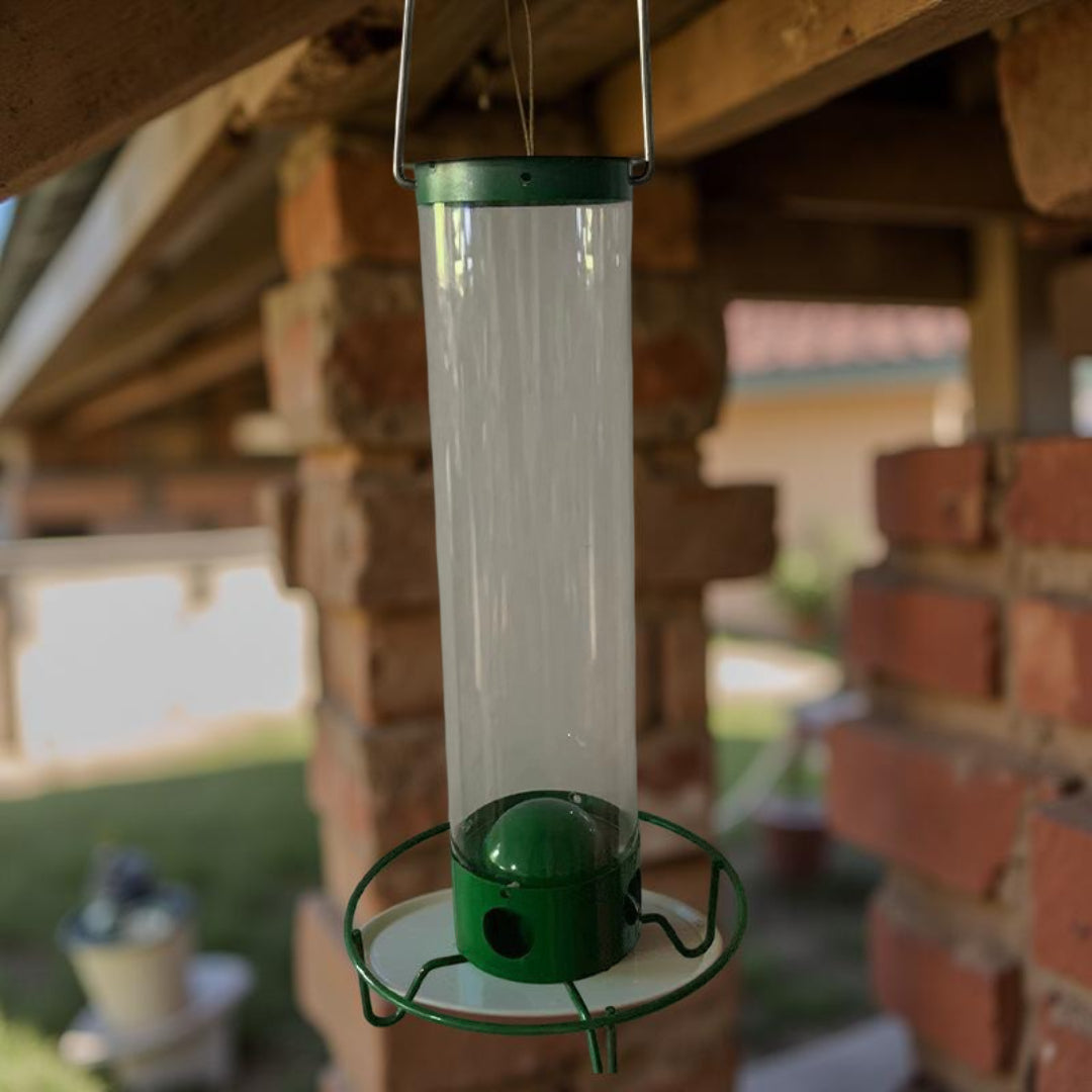 Mangeoire à oiseaux en métal anti-écureuils à suspendre dans le jardin