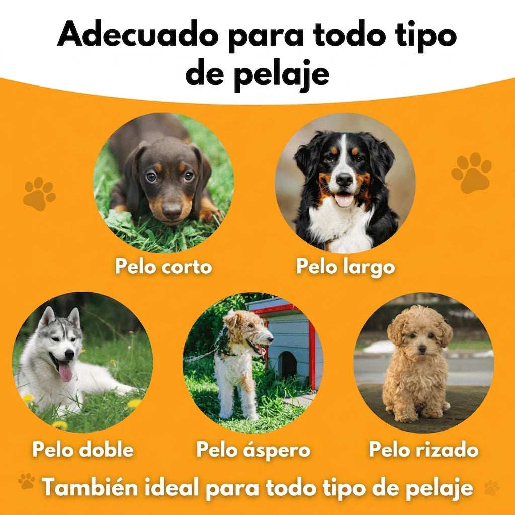 CepilloMagnet™ – La solución más efectiva para eliminar el pelo de mascotas
