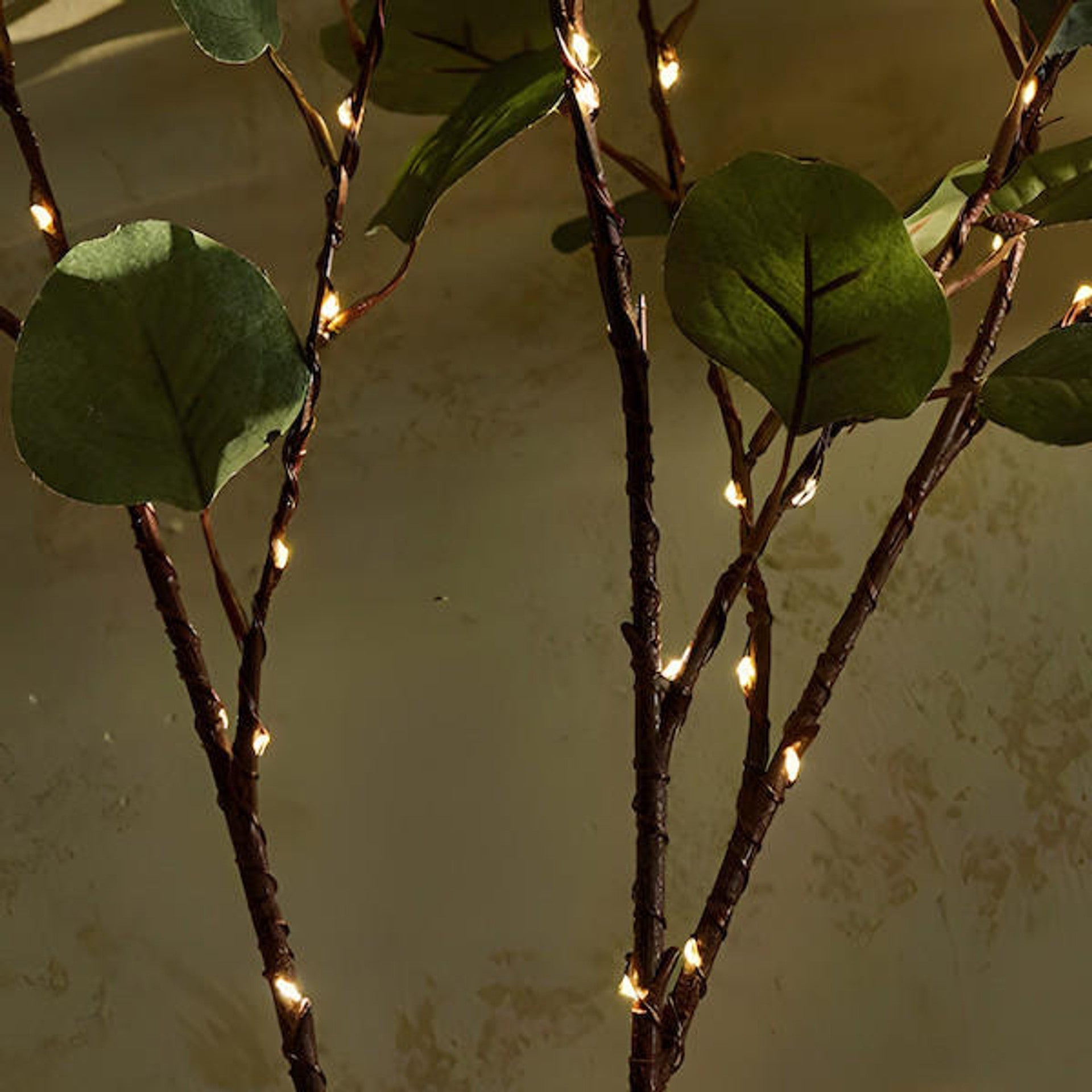 Oliviera | Ramas Luminosas – Esplendor Encantado y Ambiente Cálido